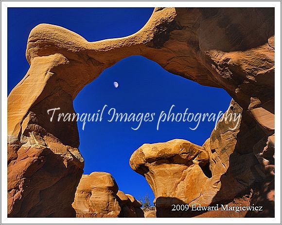 450643   Moonrise over Metate Arch